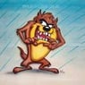 taz1978