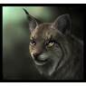 Lynx